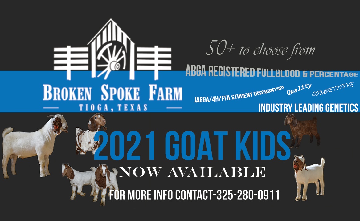 Hartford Yard Goats on X: #BREAKING in a DRASTIC improvement to your  Wednesday Yard Goats announce tickets go on sale for the 2023 season at 10  am on February 10th 🤩 It's