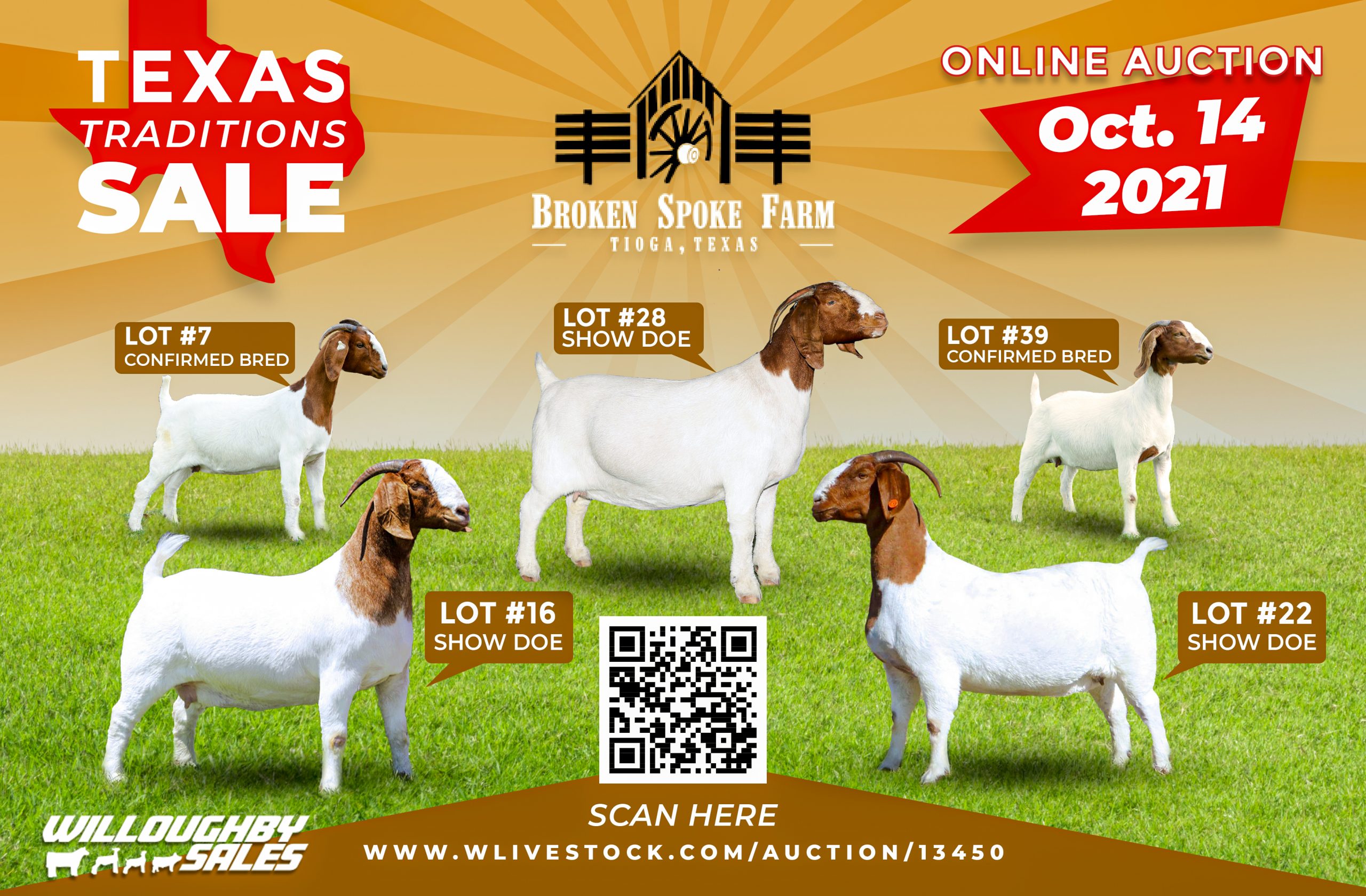 Venable farms Show Goats for Sale